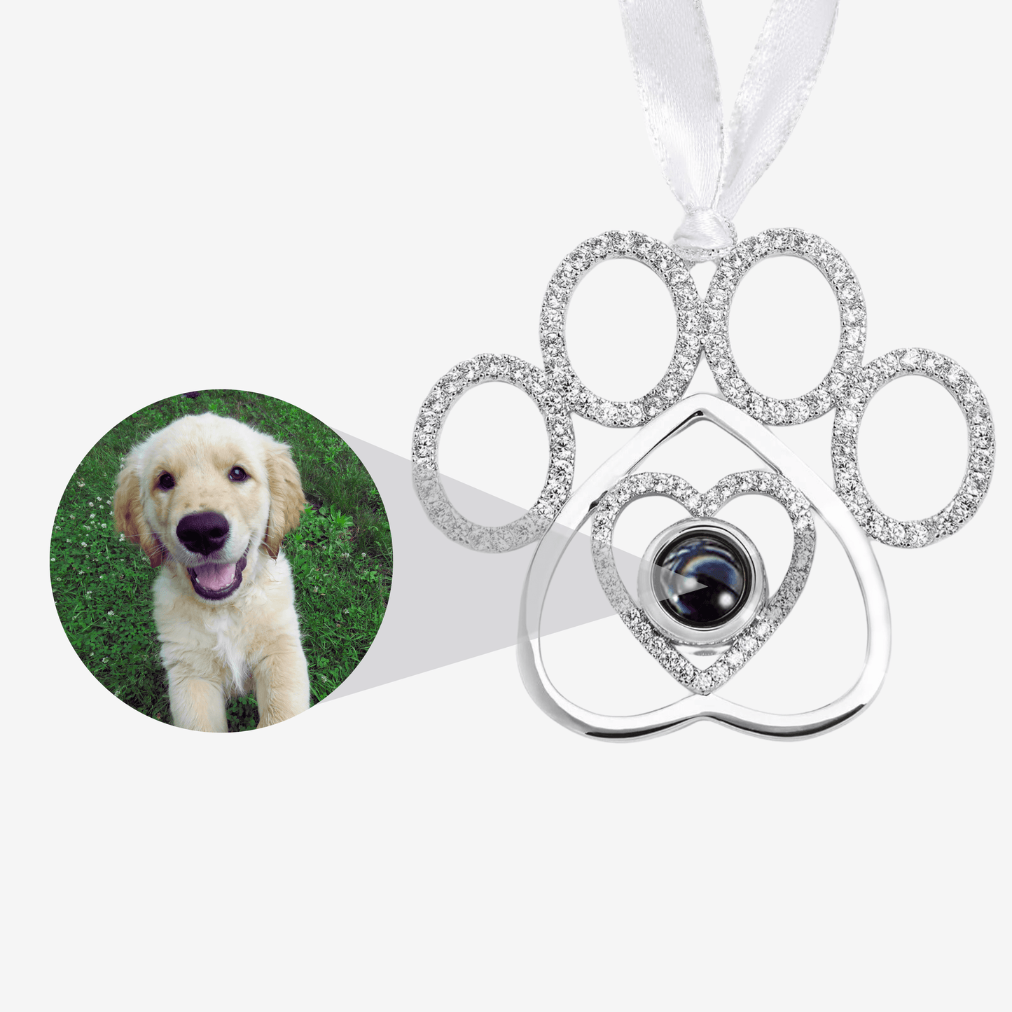 Paw Ornament W/ Photo Projection - Swaveo Jewelry