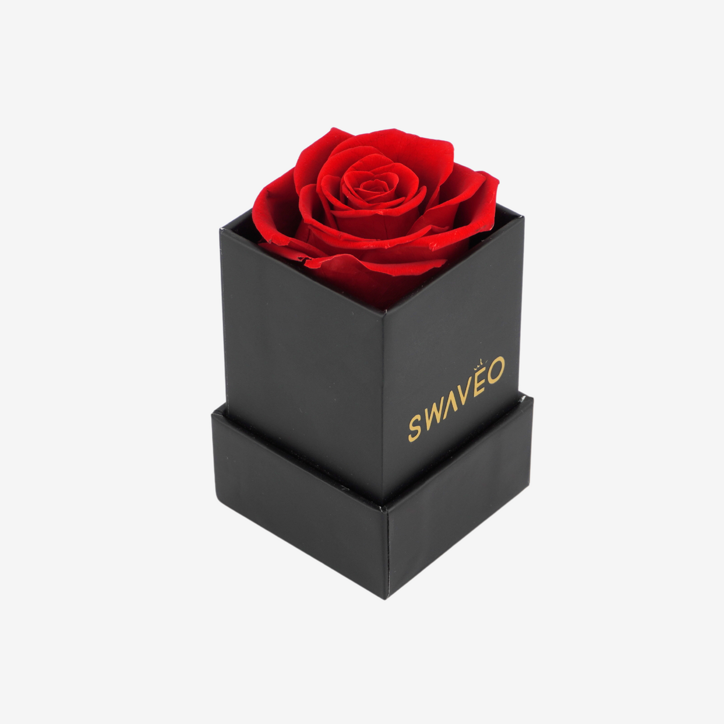 Eternal Single Rose Box W/ Forever Rose