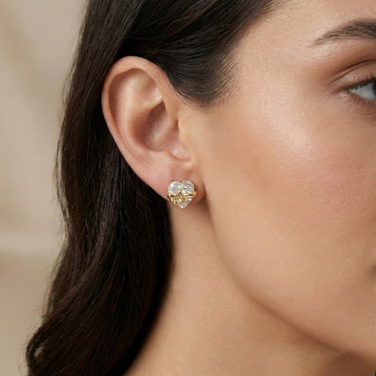 Anillo de promesa Atado con amor