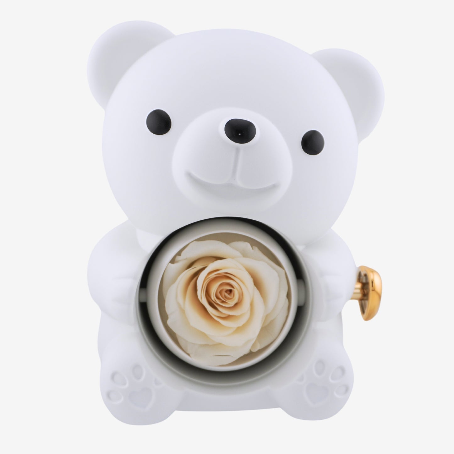 Forever Rose Bear W/ Engraved Necklace