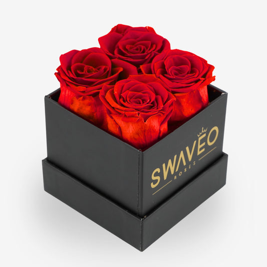 Eternal Deluxe Rose Box W/ 4 Forever Roses