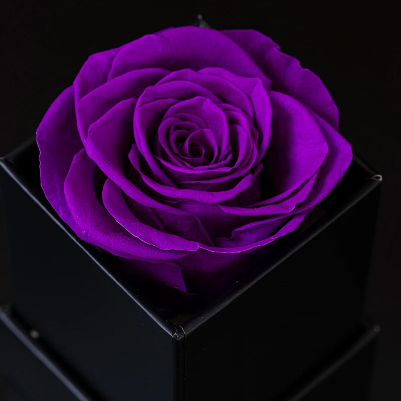 Eternal Single Rose Box W/ Forever Rose - Swaveo Jewelry