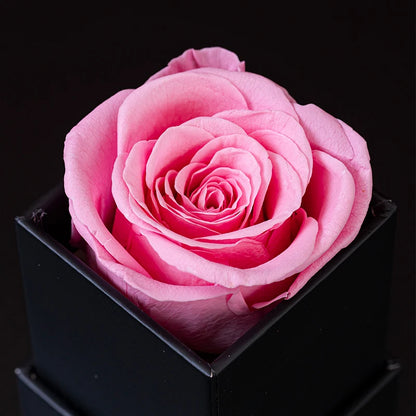 Eternal Single Rose Box W/ Forever Rose - Swaveo Jewelry