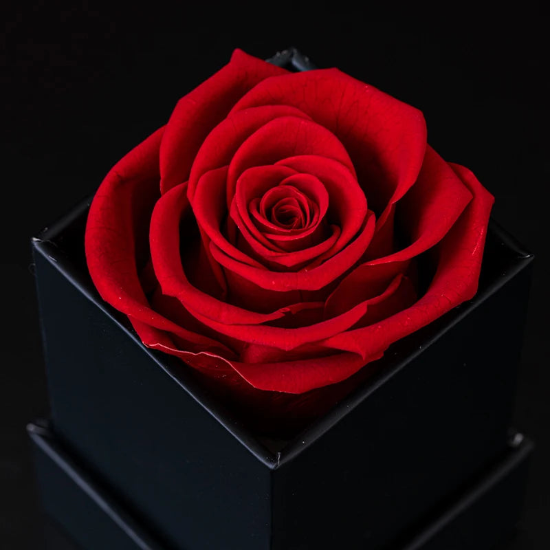 Eternal Single Rose Box W/ Forever Rose - Swaveo Jewelry